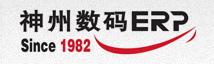 神州數碼管理系統有限公司