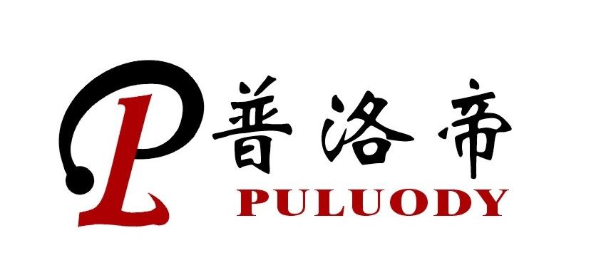 普洛帝測控有限公司