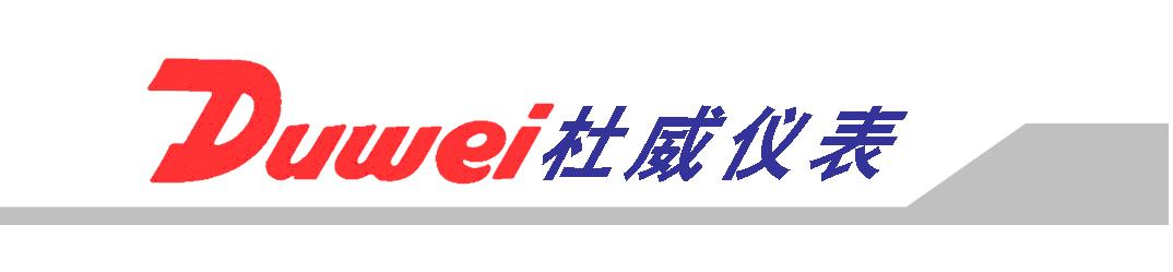 上海杜威儀表科技有限公司