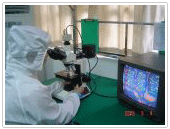 深圳市迪威液晶顯示技術有限公司