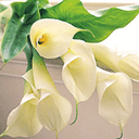 東莞隆興機(jī)電有限公司