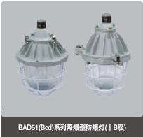 浙江中振防爆電器有限公司