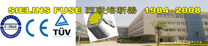 西聯熔斷器制造有限公司